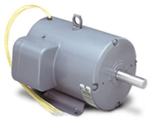 Asynchronmotor - LEESON Electric - AC / dreiphasig / 220 V