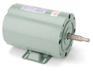 AC-Motor - LEESON Electric - einphasig / für Pumpen