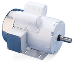 DC-Motor - Washguard - LEESON Electric - Edelstahl / für Wash-Down-Anwendungen
