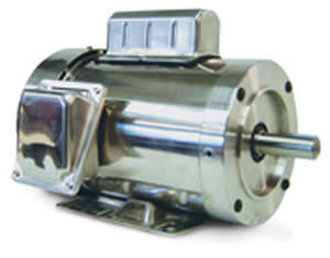 Bürstenbehafteter Motor - SST - LEESON Electric - DC / 220 V / Edelstahl