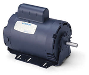 Synchronmotor - LEESON Electric - AC / einphasig / mit variabler Geschwindigkeit
