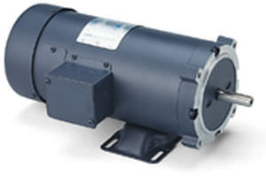 Synchronmotor - LEESON Electric - Gleichstrom / 80 V / Permanentmagnet