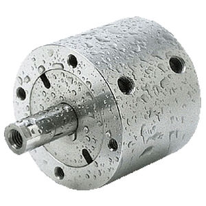 Pneumatikzylinder - Compact Automation Products - einfachwirkend / Edelstahl / kompakt