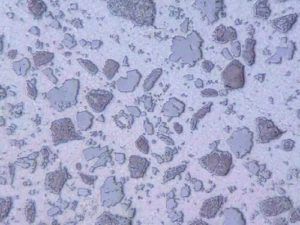 Wolframkarbid - Surface Engineering Alloy Co.