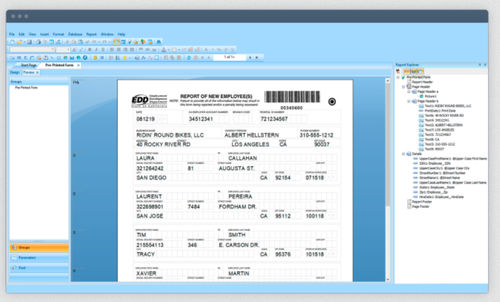Programmiersoftware - Crystal Reports - SAP - Viewer / Steuerung / Reporting