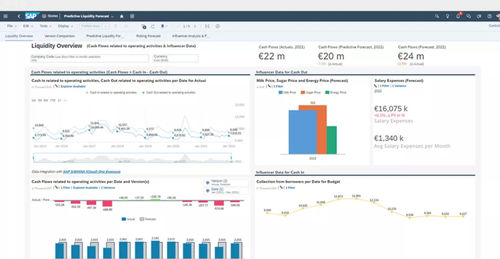 Finanzmanagement-Software - S/4HANA Cloud for cash management - SAP - Überwachung / Steuerung / Reporting