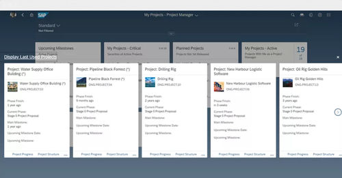 Analysesoftware - Enterprise Portfolio and Project Management - SAP - Reporting / Planung / Optimierung
