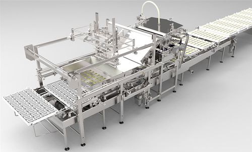 Hartkäse-Käseteiler - AFE - Alpma Alpenland Maschinenbau - Weichkäse / mechanisch / halbautomatisch