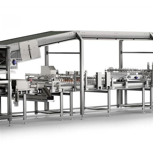 Automatisierte Kuchenproduktionsanlage - Gorreri S.r.l.