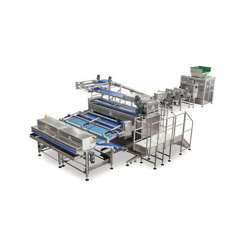 Kugelförmige . - O-MATIC 1000-2600 - Minipan S.r.l. Food Processing Machines - gesalzen