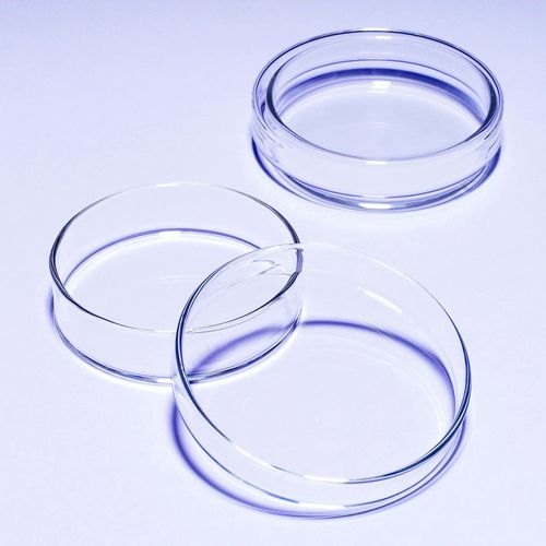 Glas-Petrischale - 1480 series - SciLabware Limited