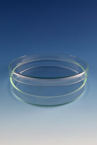 Glas-Petrischale - ø 90 mm - Dixon Glass Ltd