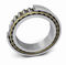 Toroidal-Rollen-LagerTORBSchaeffler Technologies AG & Co. KG