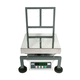 Plattformwaage / Kilogramm / Zweifachdisplay / Industrie