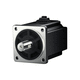 Flansch-Servomotor / AC / 220 V / mit Bremse