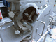 Klumpenbrecher für Pulver / Nahrungsmittel / für Schüttgüter / Rotor