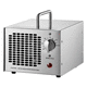 tragbarer Ozongenerator / Miniatur / kompakt