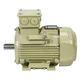 Asynchronmotor / AC / Gusseisen / IP55