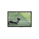 Displaymodul / TFT LCD / IPS / mit PCAP-Touchscreen / Multitouchscreen
