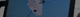 Management-Software / Engineering / Entwicklungs / Optimierung