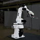 Knickarmroboter / 6-Achs / Transfer / Umschlag