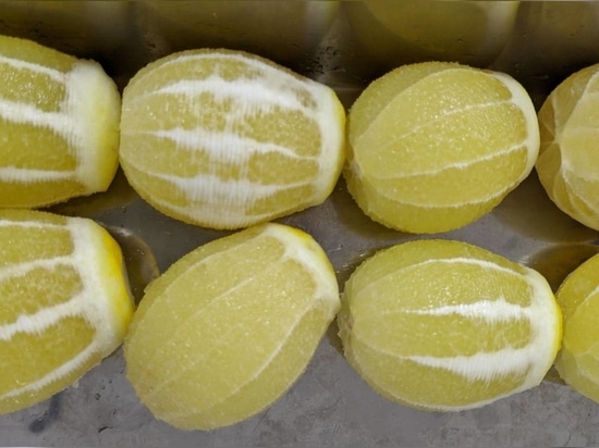 KA-700H zerkleinert Zitronen für Limoncello in nur 3 Sekunden!