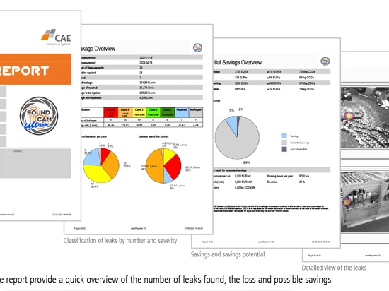 Der Bericht gibt schnell ein Überblick über die gefundenen Leckagen, den Verlust und mögliche Einsparungen