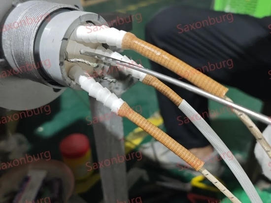 Saxonburg丨Immersion Heater Reparatur Prozess