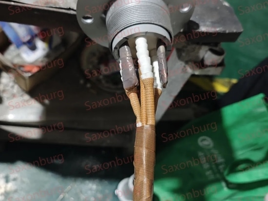 Saxonburg丨Immersion Heater Reparatur Prozess