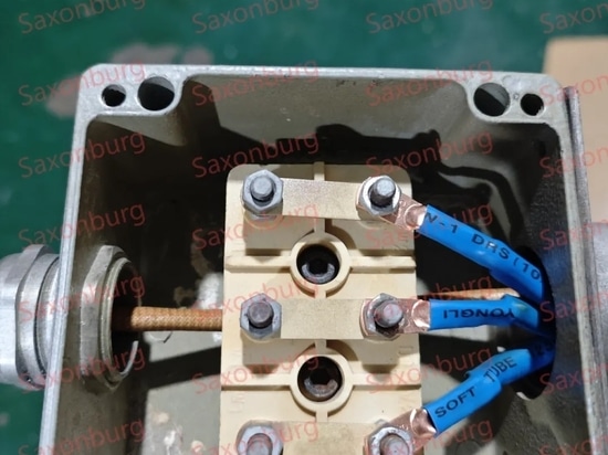 Saxonburg丨Immersion Heater Reparatur Prozess