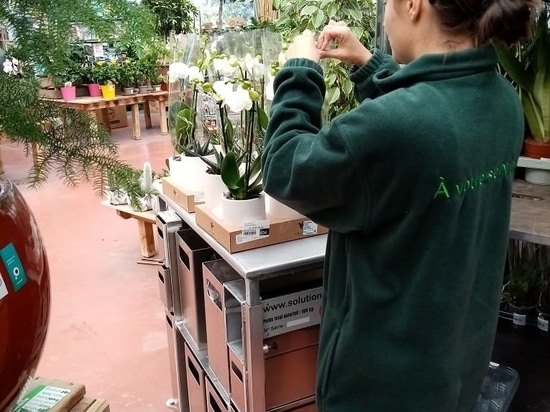 Ein inspirierender Besuch in den Grand Lieu Gärten
