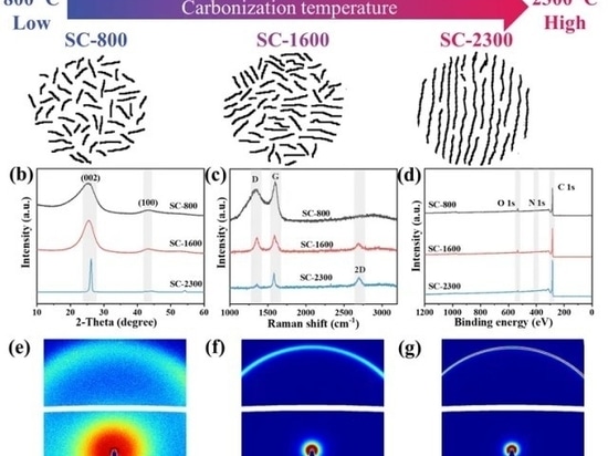 USTC-Team „AM“ | CIQTEK SEM unterstützt die mikroskopische Morphologieanalyse von Kaliummetallanoden
