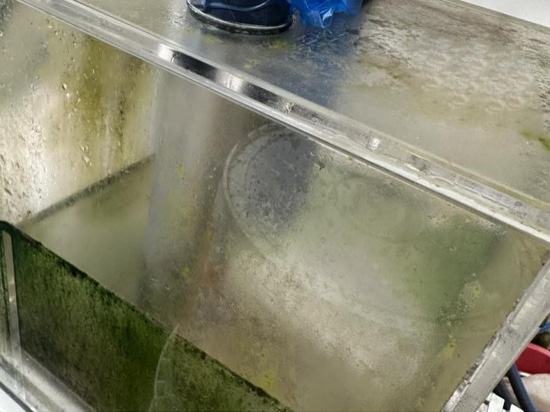 Anwendungsfall der Aquakultur in Korea