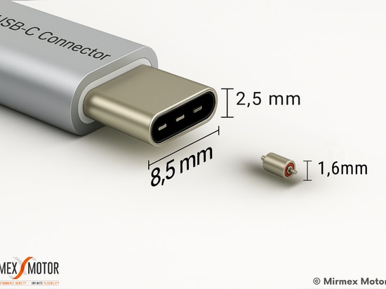 Mirmex Super Winziger Mikromotor