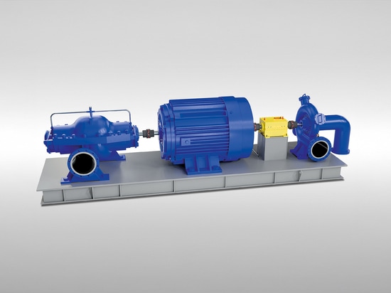 Pumpensystem