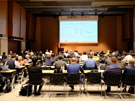 Wir nahmen an der Internationalen Konferenz über Schallemissionen (IIIAE 2025) teil