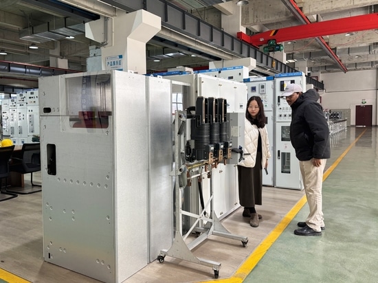 Dritter Besuch eines sambischen Kunden bei Tianan Electric