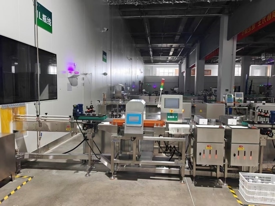 Verbesserung der Lebensmittelsicherheit und Gewichtskontrolle mit der Kontrollwaage CW-3K von General Measure mit Metalldetektor