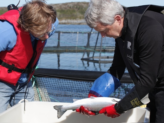 ULTRAAQUA-UVsystem-Reihe genehmigt vom norwegischen Veterinärinstitut