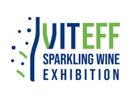 VITeff 2025