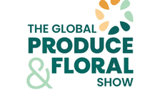 The IFPA Global Show