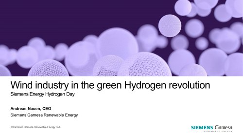 Wind industry in the green Hydrogen revolution