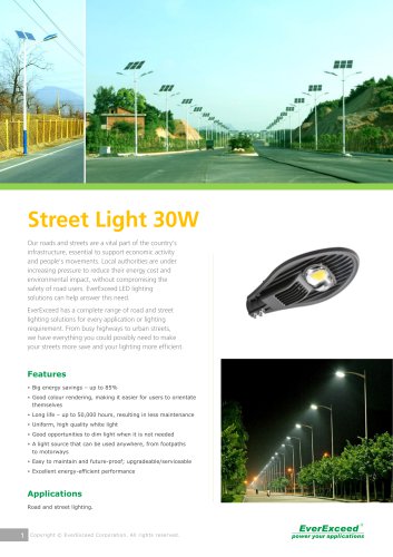 LED street light EVSTL-30W