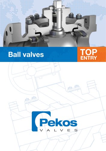 Ball valves TOP ENTRY