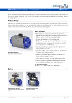 SPA-R Pneumatic Quarter Turn Actuators Rack and Pinion