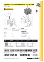 Spindelhubgetriebe TSE - rotierende Spindel - 3
