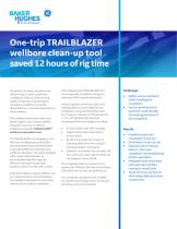 One-trip TRAILBLAZER wellbore clean-up tool saved12 hoursofrig time