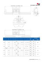 Linearachse RK MonoLine-21