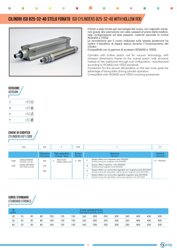 ISO CYLINDERS WITH HOLLOW ROD