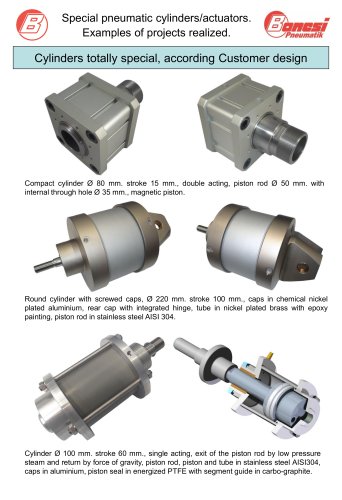 Cylinders totally special according customer design